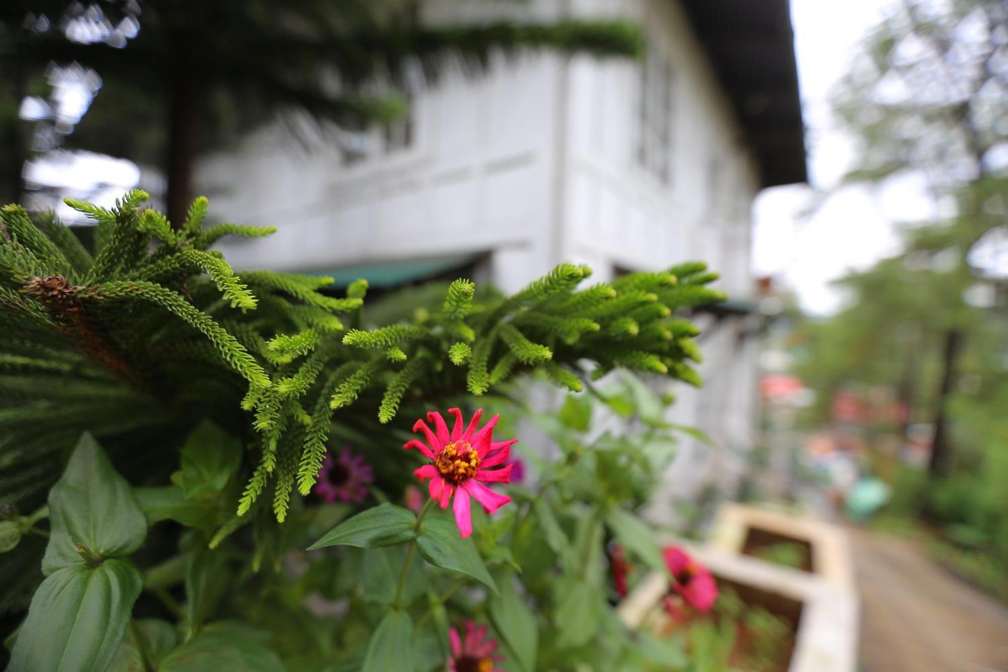 Casa Vallejo Hotel Baguio Baguio City Esterno foto